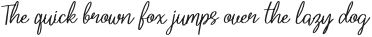Identic Partner Script otf (400)