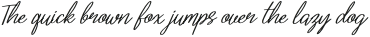 Identic Partner Script Italic otf (400)