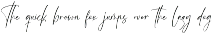Amsterdam Silhouete Modern Script preview