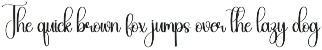 Thankful | Script Font preview
