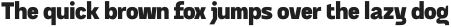 Dignity Grotesk Black otf (900)