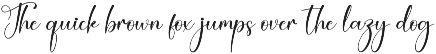 Coffee | Script Font preview