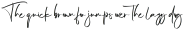 Fisin Rafi otf (400)