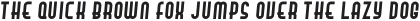 Hamburger Hop Bold Italic otf (700)