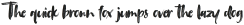 Tanktop Brush Fonts Regular otf (400)