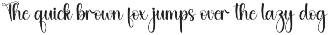 Chubby | Script Font preview