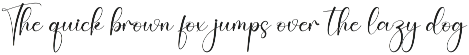 Panda | Script Font preview