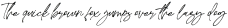 Sidneyland Italic otf (400)