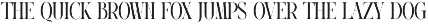Magent Elegant Serif Font preview