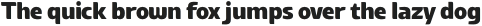 UT Airlines ExtraBold otf (700)