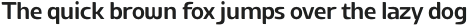 UT Airlines Medium otf (500)