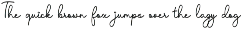 Palmetto font preview