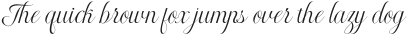 RadiateScript-Regular otf (400)