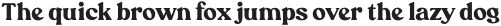 BT Blindern Bold otf (700) Sample