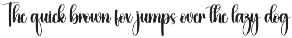 Vintage | Script Font preview