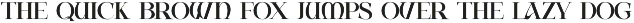 Gamon Unique Serif Font preview