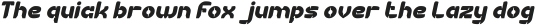 COMPUTER VISION Bold Italic otf (700)