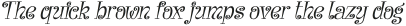 Barangrep Italic otf (400) Sample