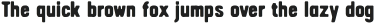 ArnelBlur-Regular otf (400)