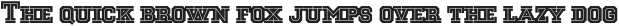 National Champion Cut Light otf (300)