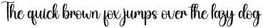 Chubby | Script Font preview