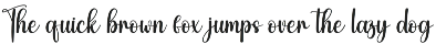 Playful | Script Font preview