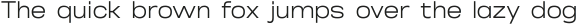 Makuro Thin ttf (100)