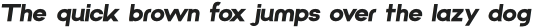 Techno_Nue Heavy_Italic otf (800)