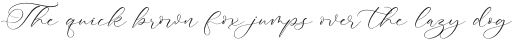 Avonta Qintani otf (400)