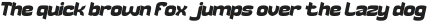 LIGHT CRUISER Italic otf (300)