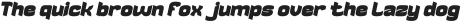 LIGHT CRUISER Bold Italic otf (300)