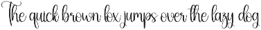 Joyful | Script Font preview