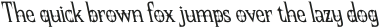 CS Casket Reverse Italic otf (400)
