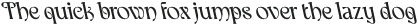 CS Chako Reverse Italic otf (400)