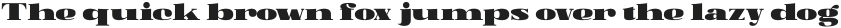 Soleram Black otf (900)