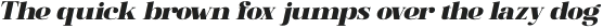 Soleram Medium Oblique otf (500)