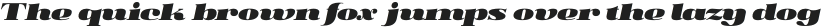 Soleram Black Italic otf (900)