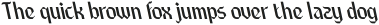 CS Clave Reverse Italic otf (400)