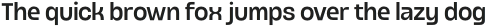 Wirants Medium otf (500)