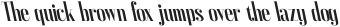 CS Diploma Reverse Italic otf (400)
