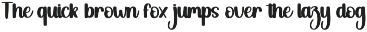Chubby | Script Font preview