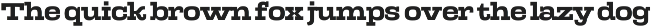 TA Albatross preview