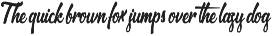 Brooklyn Script preview
