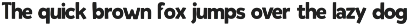 The Forza Bundle font sanserif preview