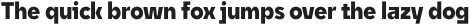 Unytour Display Narrow Black otf (900)
