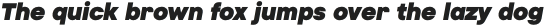 Montilla Heavy Italic otf (800)