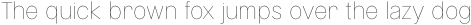 Montilla Thin otf (100)