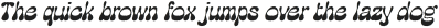 Discota Rough Italic otf (400)
