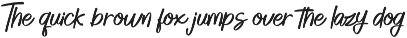 Handwriting Font Bundle HIRO.std preview