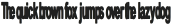 Bootzy Condensed TM Regular otf (400)